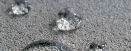 Water Repellency and Protection