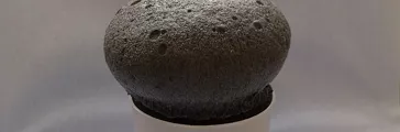キノコの上部の泡サンプル