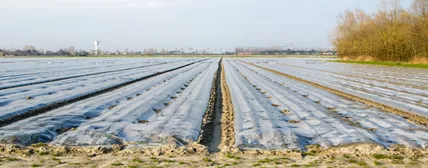 Silage Clamp Films