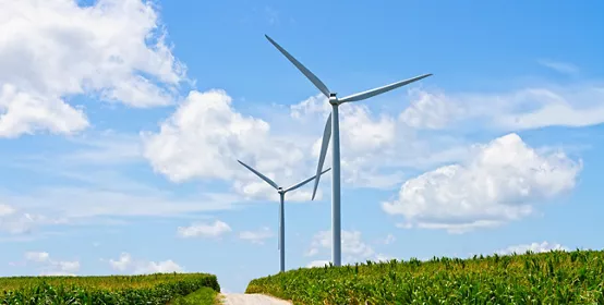 Windmills and a green field