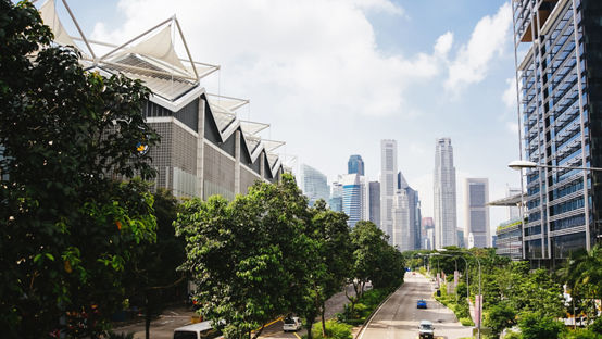 Boulevard lined with trees with city skyscrapers in the distant background