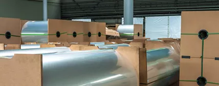 Packaging Film and Sheet