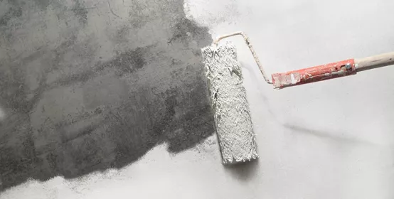 Painting concrete white using a paint roller, one unpainted section visible on left side.