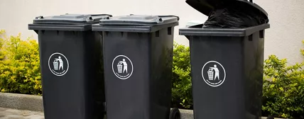 Waste Carts and Containers