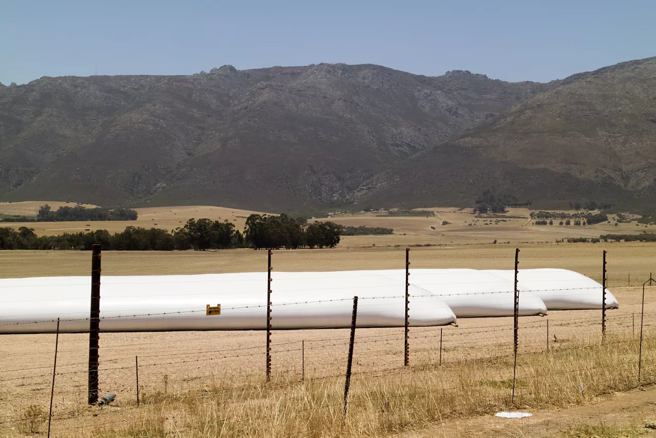 Long tube like storage plastic bags laying in a field of the wheatlands. Swartland region of the Western Cape South Africa.