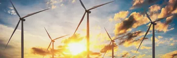 Wind Turbines and Solar Panels at Sunset