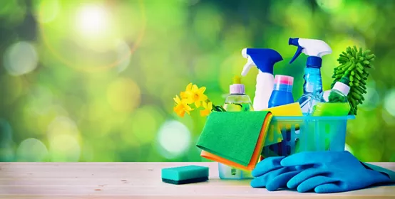 Housecleaning, hygiene, spring, chores, cleaning, cleaning supplies