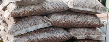 Mulch and Fumigation Film