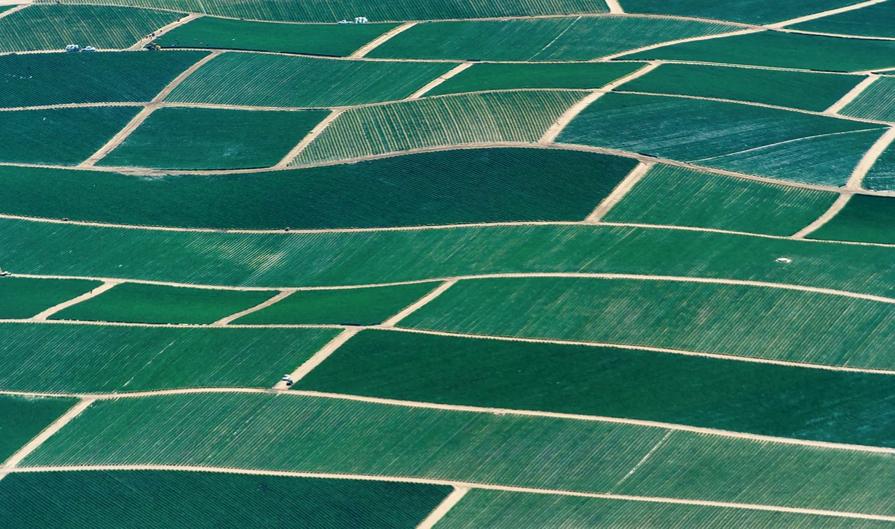 Vista aérea de terras agrícolas, verde claro e escuro, para a criação de gado e produção de culturas