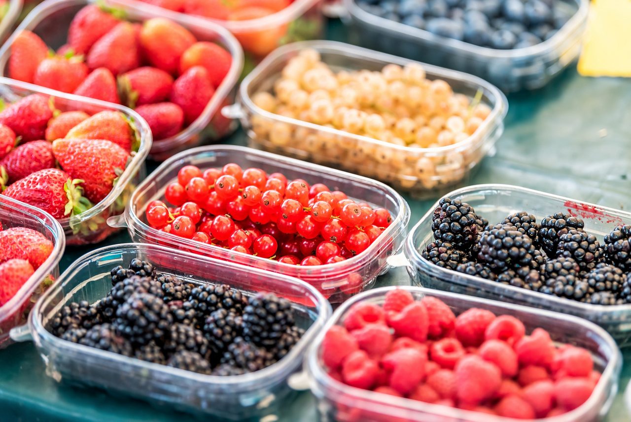 Recipientes de alimentos 