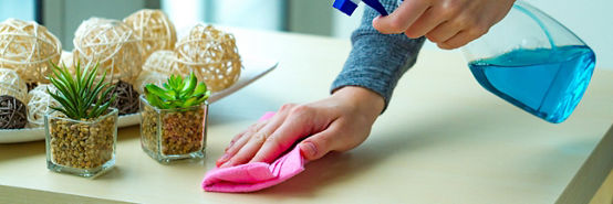 Housewife is engaged in cleaning the house, wipes dust from the table with a rag for cleaning and spray. Housework, household chores.