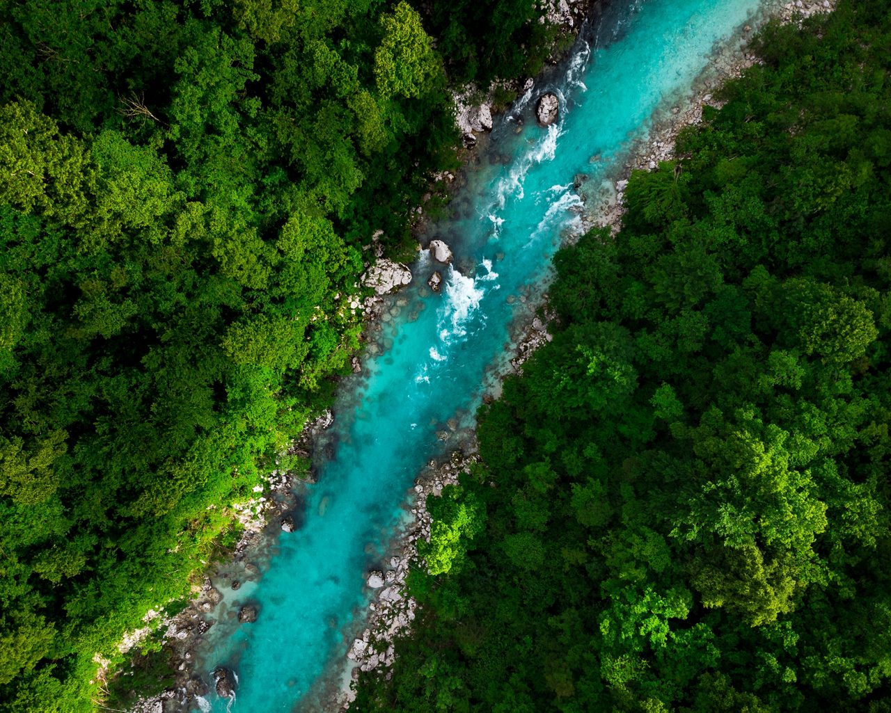 Blue River flowing in forest 