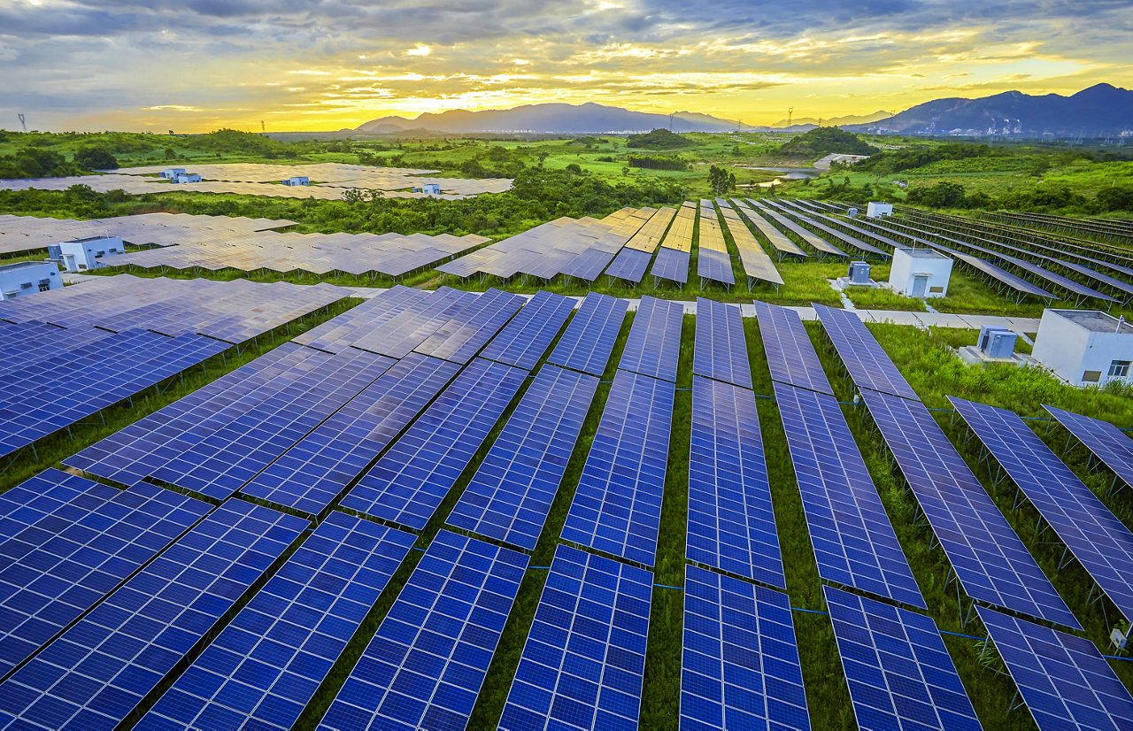 Solar photovoltaic panel base surrounded by aerial green plants.