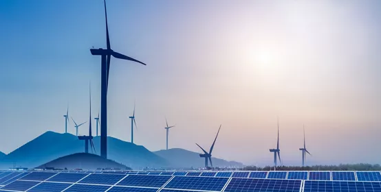 rows of solar panels with windmills in background