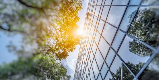 Modern office building window exterior with green trees and sun burst