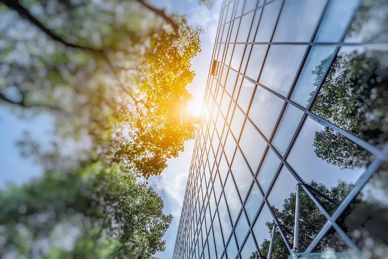 Modern office building window exterior with green trees and sun burst