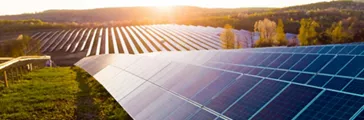 Solar panels (solar cell) in solar farm with sun lighting to create the clean electric power