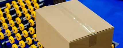 Case and Carton Sealing
