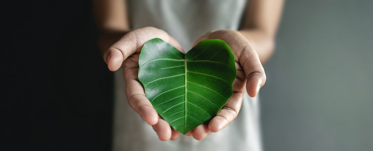 Green Energy, ESG, Renewable and Sustainable Resources. Environmental and Ecology Care Concept. Close up of Hand holding a Heart Shape Green Leaf