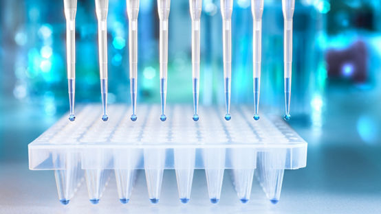 Multichannel Pipette Tips Filled With Reaction Mixture