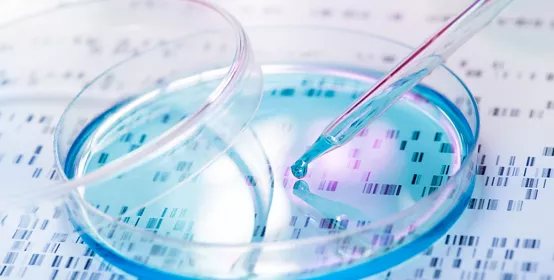 DNA sample being pipetted into petri dish with DNA gel in background.