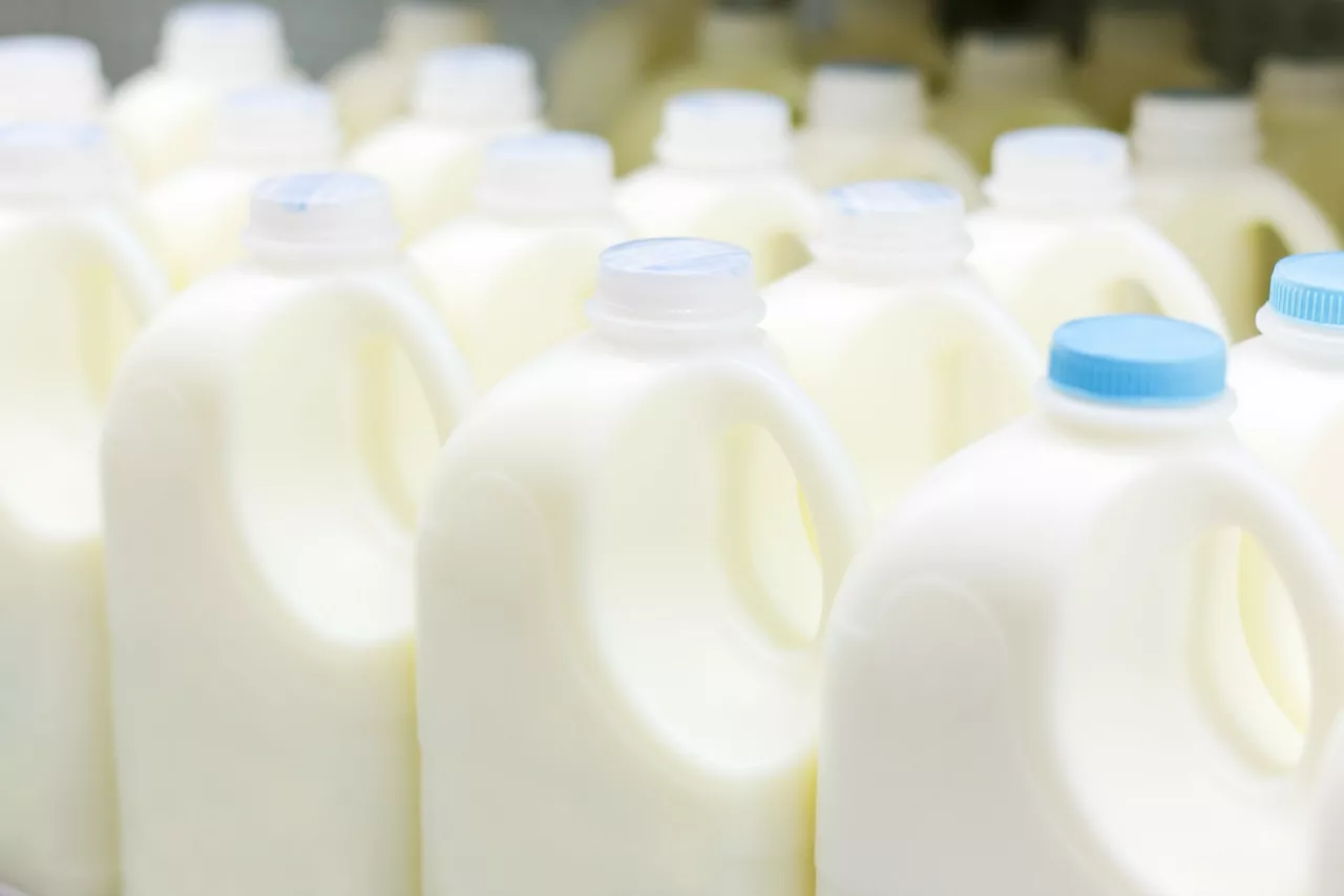 plastic milk bottles