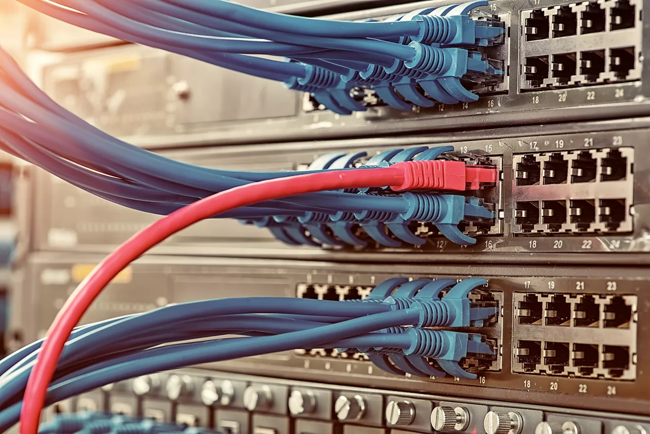 Telecommunication Ethernet cables connected to internet switch