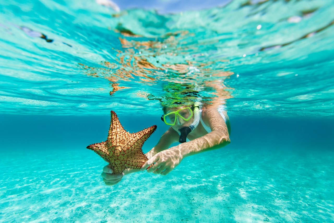 Mulher com máscara de mergulhador segurando estrela do mar