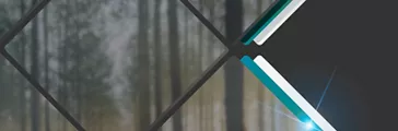 V PLUS Perform next brand image with forest background