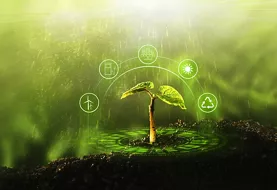 Young plant growing at sunlight. Environment and ecology concept. Sources for renewable, sustainable development.