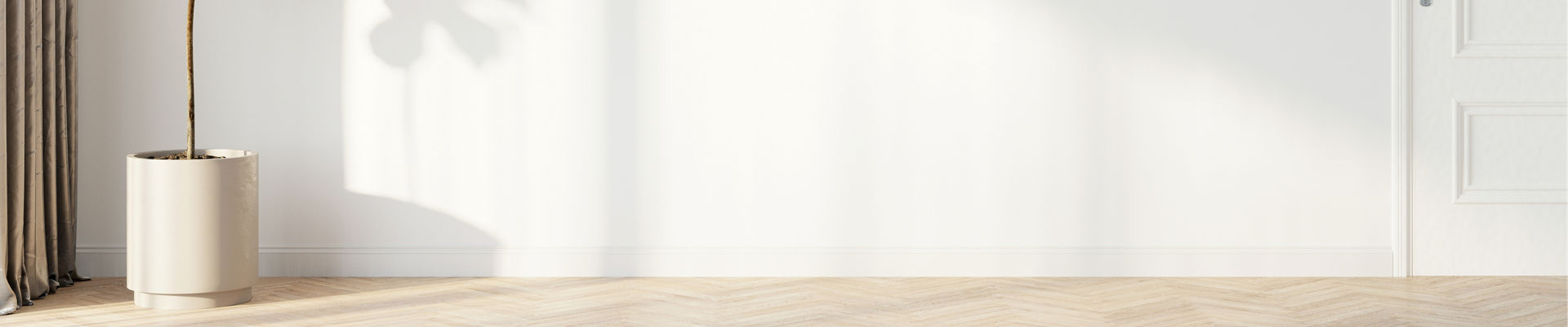 White wall against wood floor panel and indoor plant pot.