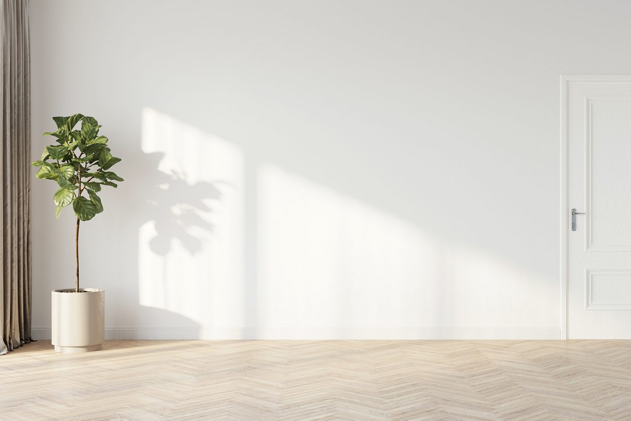 Parede branca contra painel de piso de madeira e vaso de planta interior.