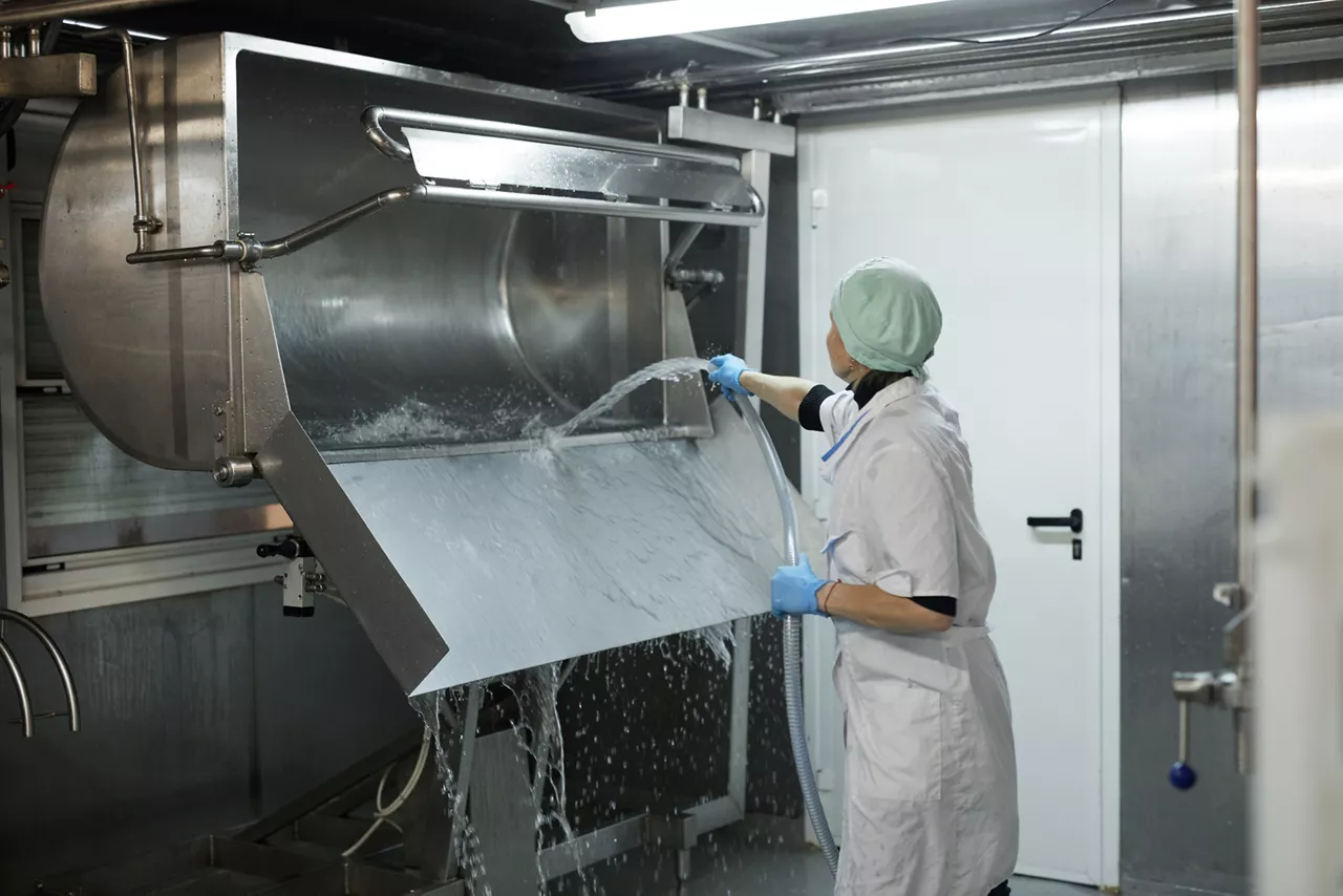 Person washing dairy plant