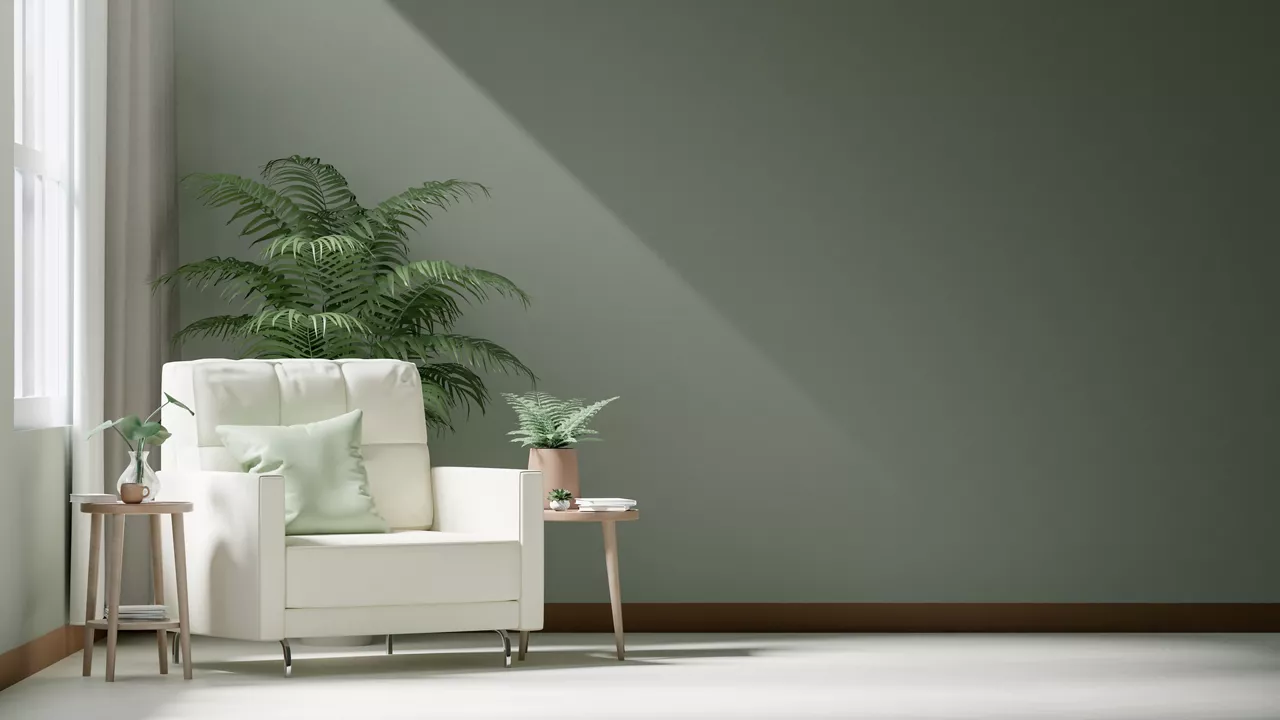 Modern vintage interior of living room - White chair against green wall with a palm plant.
