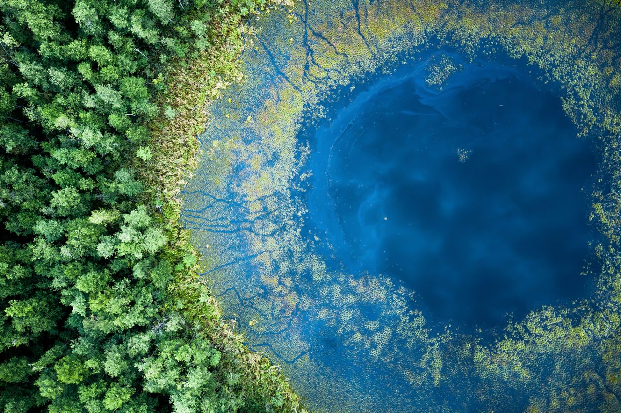 Aerial view of a blue lake in a forest