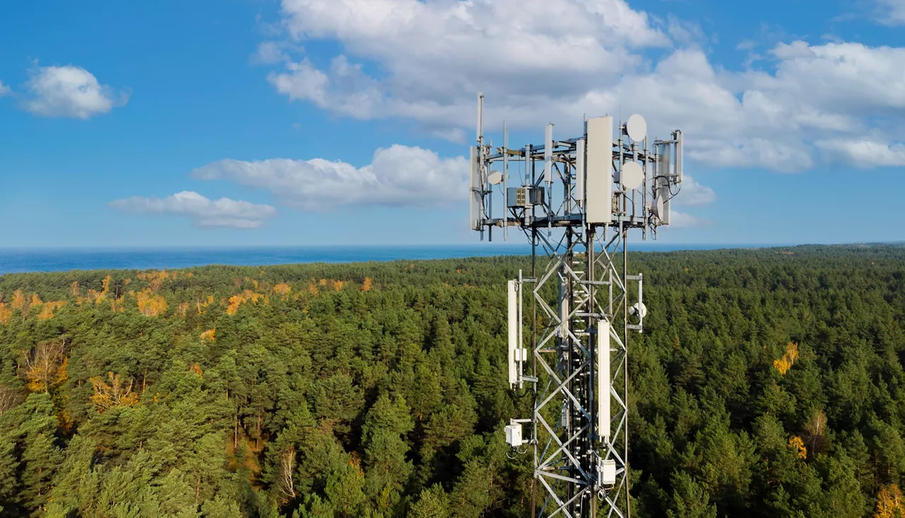 telecom tower over trees