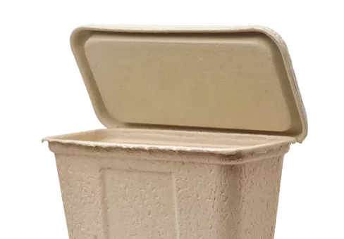 Molded paper pulp packaging container with open cover isolated on white