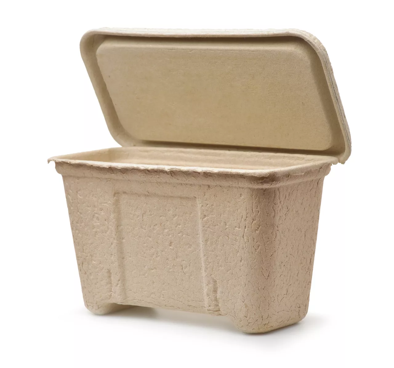 Molded paper pulp packaging container with open cover isolated on white