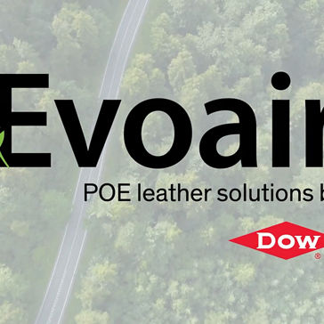Evoair auto seat video