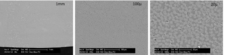 Images of SEM analysis on profile cross-section