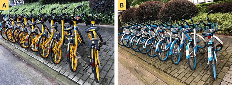 Rows of public bicycles