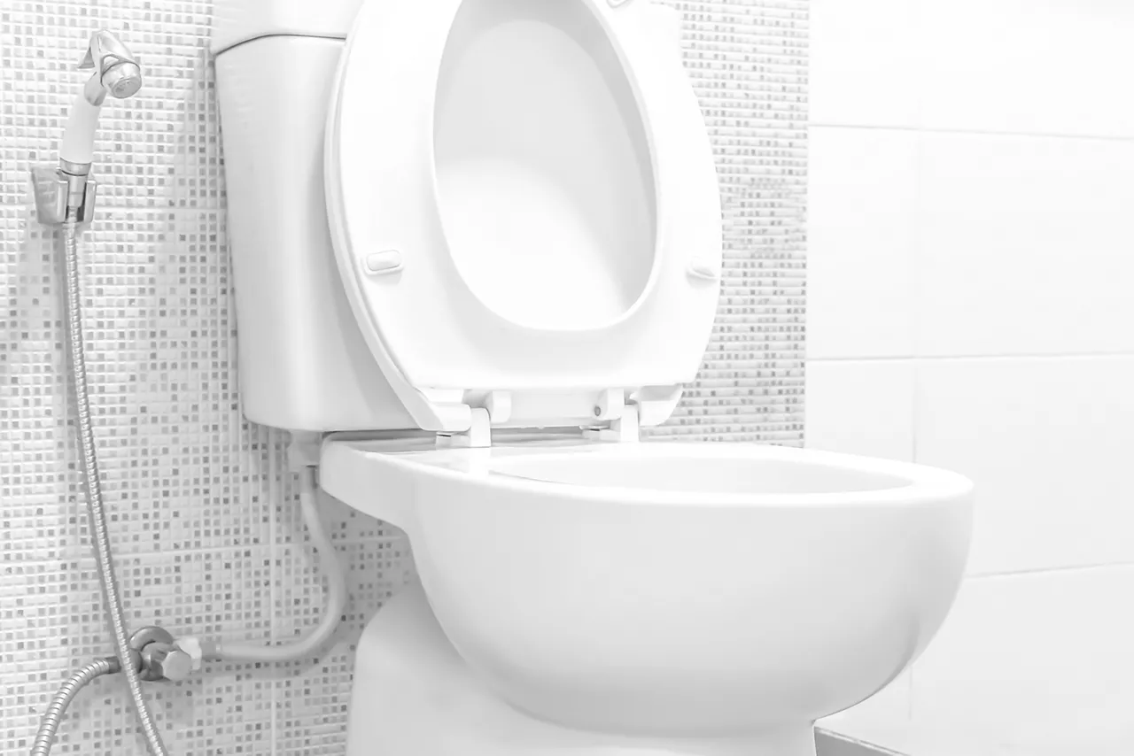 White toilet bowl against tiled wall