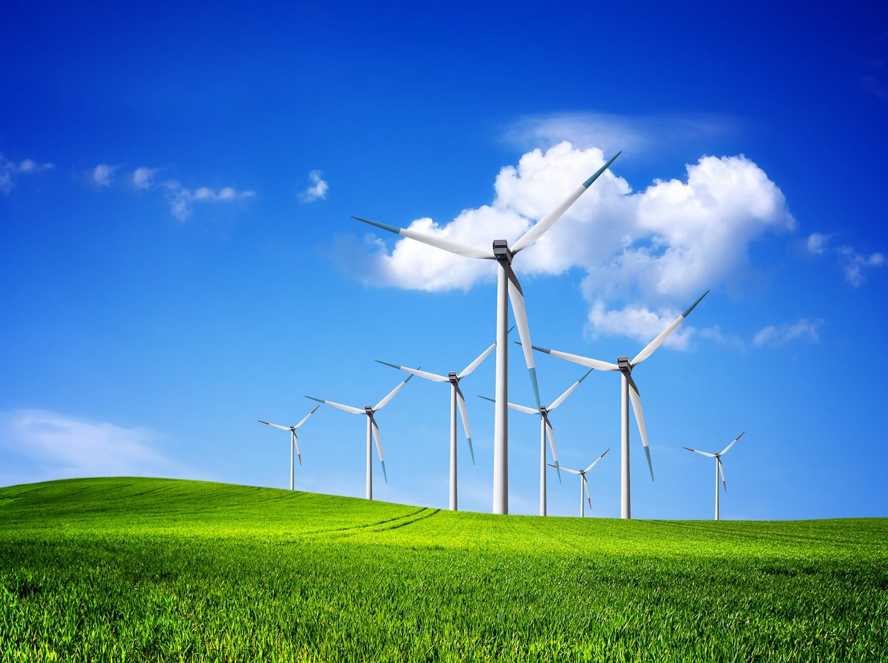 Field of wind turbines